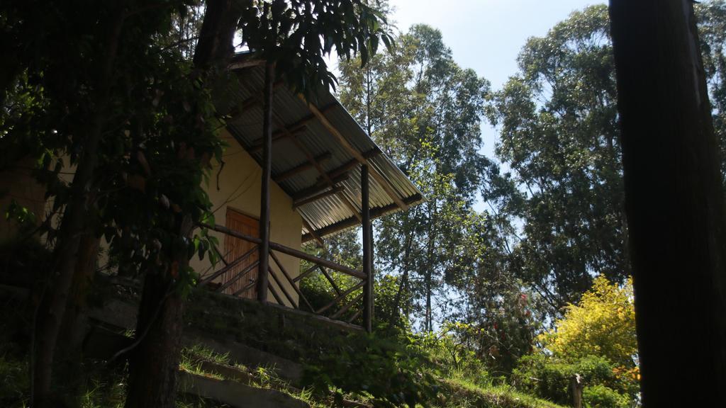 Amasiko Homestay Lake Bunyonyi Kabale Exterior foto