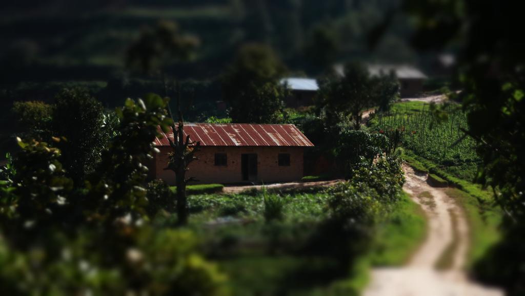 Amasiko Homestay Lake Bunyonyi Kabale Exterior foto
